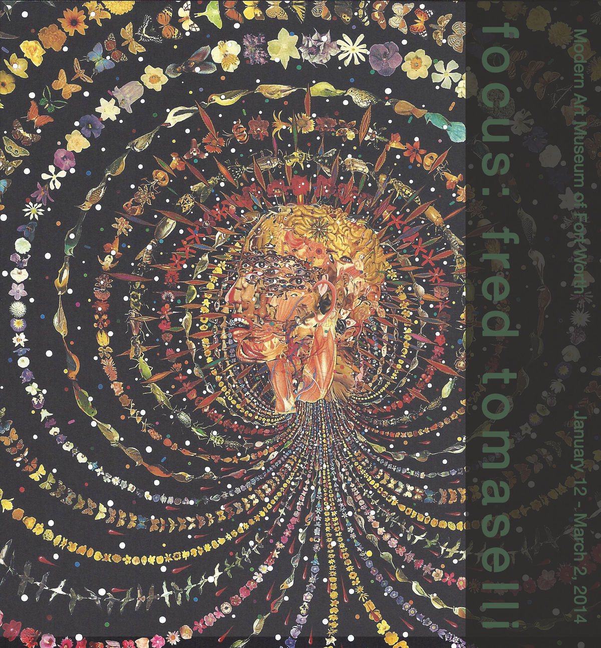Focus: Fred Tomaselli | Fine Art Biblio