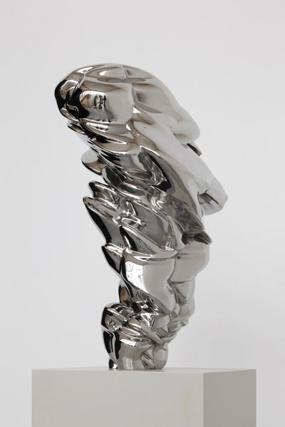 Tony Cragg | Fine Art Biblio